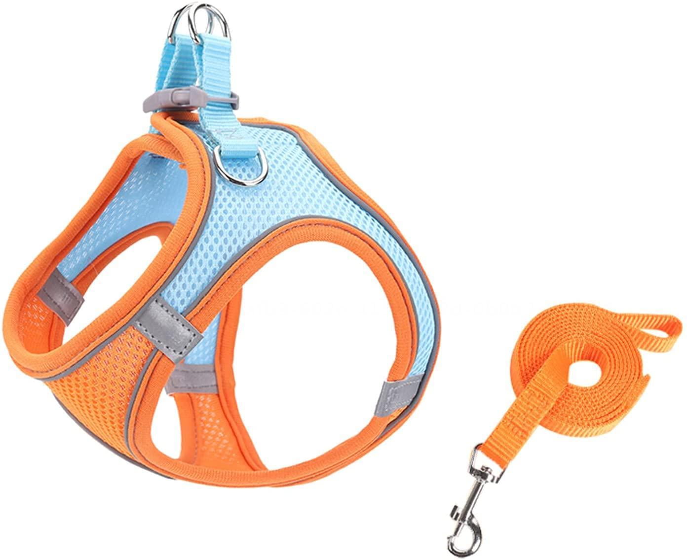 Fovien Dog Harness for Small Medium Dogs No Pull, Dog Harness and Leash ...