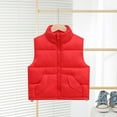 thumbnail image 2 of Generic Children Lightweight&nbsp;Tops Toddler Baby Girls Winter Down Cotton Hedgehog Vest with Front Buckle Cartoon Warm Outwear Coat, 2 of 4