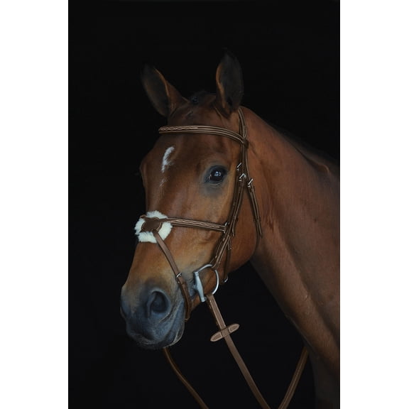 Collegiate Mono Crown Figure 8 Bridle, Brown Size: Oversized
