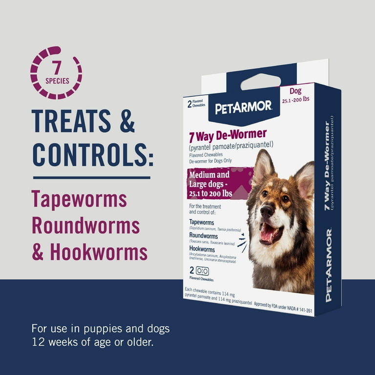 Chewy dog cheap wormer