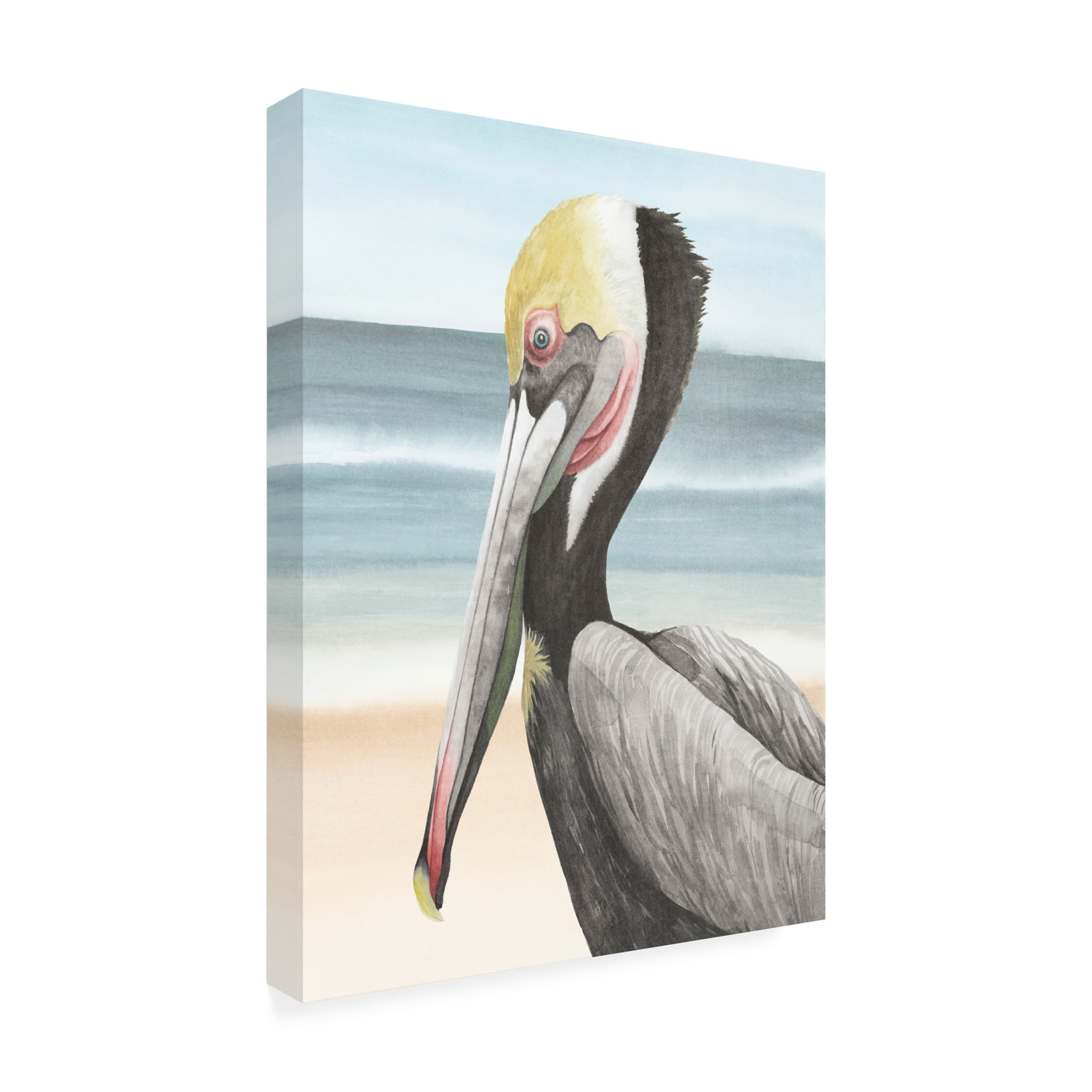 Trademark Fine Art Grace Popp Pelican Beach II Canvas Wall Art