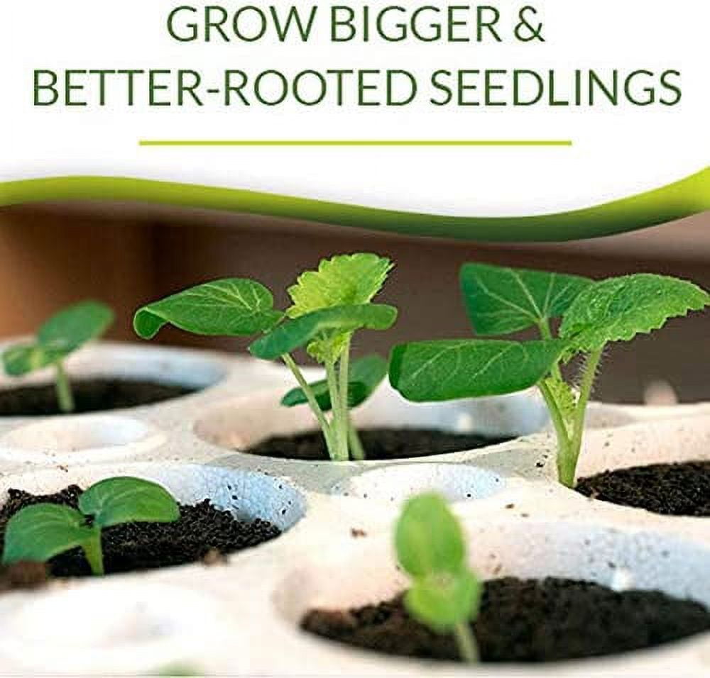 Seed Starter Kit with 60 Cell Planting Block, Base Tray, Humidity Dome & 60 Bio Sponges