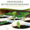 thumbnail image 6 of Seed Starter Kit with 60 Cell Planting Block, Base Tray, Humidity Dome & 60 Bio Sponges, 6 of 6