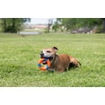 thumbnail image 4 of Chuckit! Ultra Ring Rubber Ultimate Chase and Fetch Dog Toy, Multicolor, Pack of 1, 4 of 5