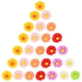 thumbnail image 1 of SHOWERORO 60Pcs Daisy Shaped Push Pin Plastic Simple Design for Office Supply, 1 of 5