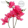 thumbnail image 2 of Bornbridge Artificial Potted Orchid with Long Stem - 2 Pack - Hot Pink - Large, 2 of 5
