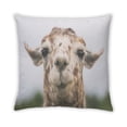 thumbnail image 2 of Ahgly Company Animals Llama Coussin Extérieur, 18 Pouces par 18 Pouces, 2 of 6