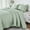 Green, variant on PERFEMET Beige Queen Size Quilt Bedding Sets 3Pieces - Textured Design, Soft Microfiber Bedspread with Shams, Lightweight & Breathable for All Season