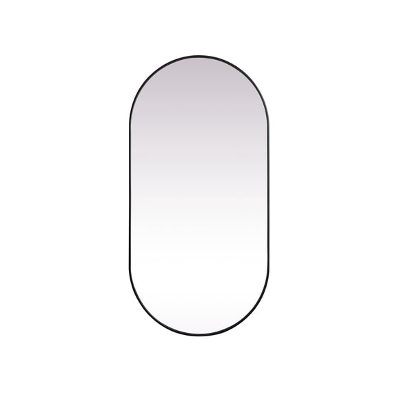 Metal Frame Oval Mirror 36x72 Inch in Black