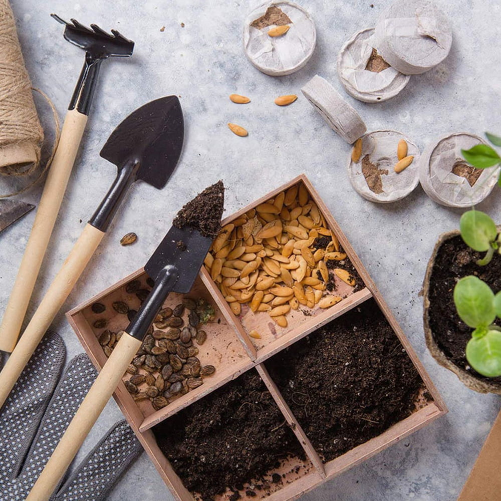 DIY Mini Gardening Tools Set Succulent Planting Transplanting Hand Tool Kit US 