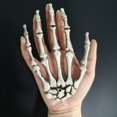 thumbnail image 1 of 2Pcs Halloween Squelette Humain Main Os Partie Hanté Maison Décoration Accessoires une Taille, 1 of 12