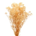 thumbnail image 1 of Secas bebés Aliento Flores 17 Pulgadas Blanco Natural bebés Aliento Ramas para Boda Fiesta Casa Decoración 1uds, 1 of 6