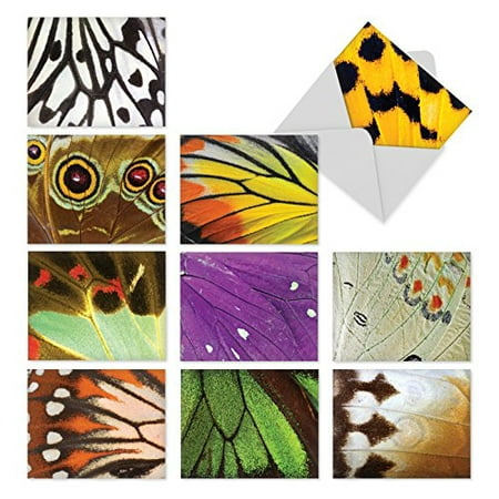 M2108 Wing It: 10 Assorted Thank You Note Cards Featuring Close-Up Photos of Colorful Butterfly Wings, The Best Card Company Stationery with (Best Business Card Company)