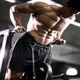 thumbnail image 3 of Breathable Weightlifting Belt, Quick Locking Dip Belt with Adjustable Chain, Stabilizes Upper Body & Improves Posture for Enhanced Training Performance & Long-Term Use (40 Inches), 3 of 5