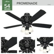Hunter 54 inch Indoor Ceiling Fan with LED Lights and Remote Control - Standard Mount Black Ceiling Fan, 5 Blades, For Bedroom, Living Room, or Kitchen, Quiet - Promenade 59545, Gloss Black