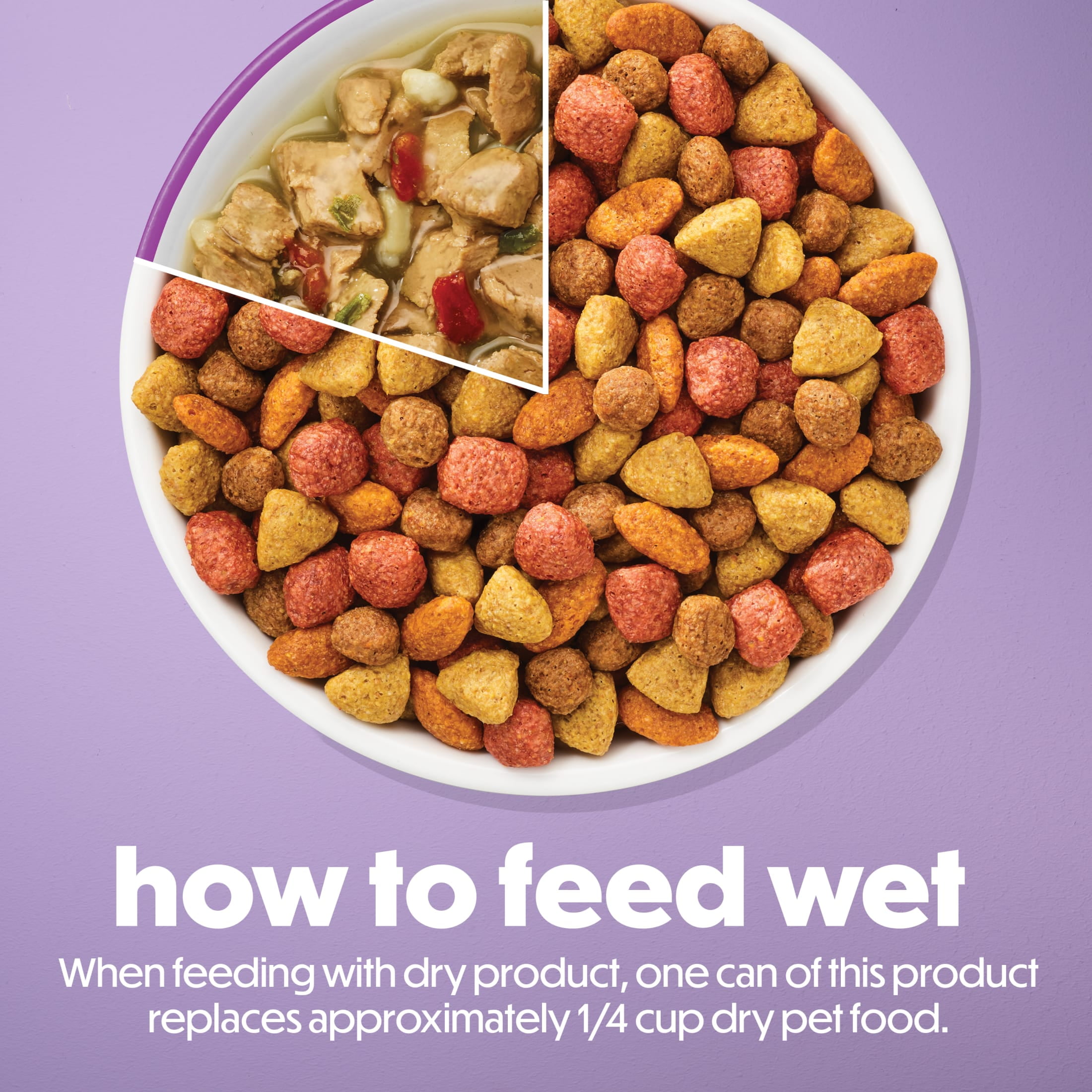 Purina Beneful Kitchen Creations With Lamb and Harvest Veggies in Sauce Wet Dog Food, 3 oz, 8 Pack