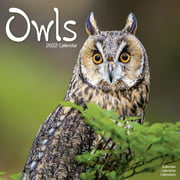 Owls Wall Calendar 2022