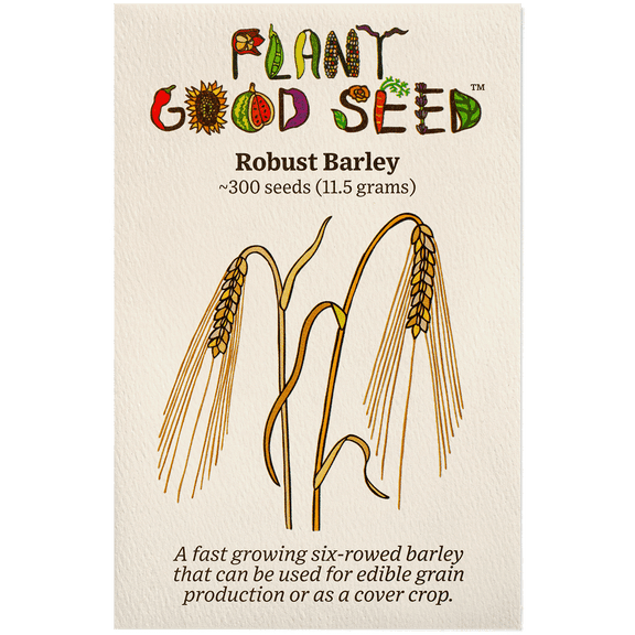 Plant Good Seed Organic Robust Barley Seeds for Planting, 300 Count - Edible Grain, Cold Season Cover Crop