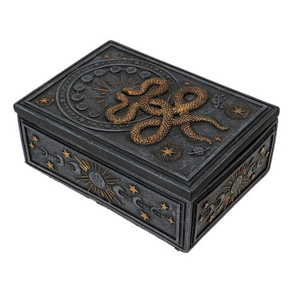 Wicca Occult Phases Of The Moon Celestial Astrology 2 Serpent Snakes Trinket Box