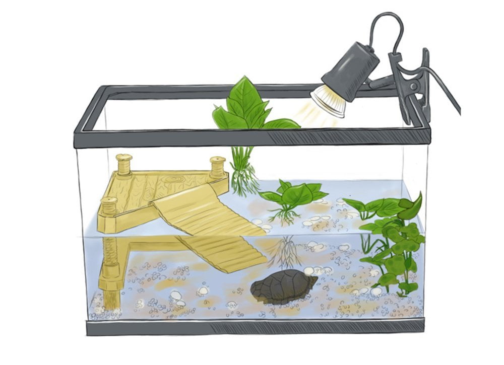 Hanging Turtle Ramp Turtle Basking Platform Aquatic Reptile Floating Island Climbing Ramp Pier Resting Terrace for Small Reptile Frog Terrapin Fish Tank with 2PCS Suction Cups