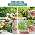 thumbnail image 3 of Berry&Bird Garden Pruning Shears Pruning Scissors Garden Clippers with Wooden Handle, 3 of 8