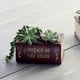 thumbnail image 3 of s Bonsai Cubeta Cama de Sedum Libro Artificial Sunnimix Suculenta Pot, 3 of 8
