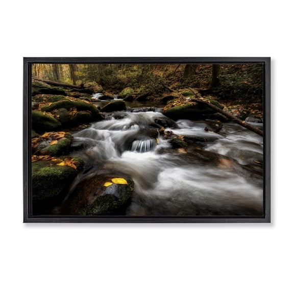 Stupell Industries Farmhouse Fallen Leaves on Stream Black Floating Frame Canvas Art, 25 x 17, by D. Burt