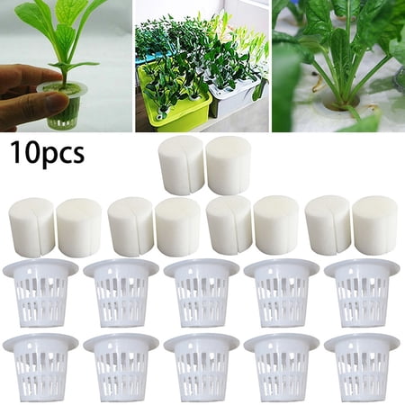 BAMILL 20pcs Mesh Pot Net Cup Basket Hydroponic Aeroponic Plant Grow Sponge