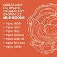 thumbnail image 3 of Bluebonnet Myco-7 Mushroom Defense – Organic – Immune & Wellness* - 60 Vegetable Caps, 3 of 5