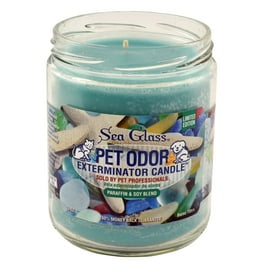 Pet odor candles walmart hotsell