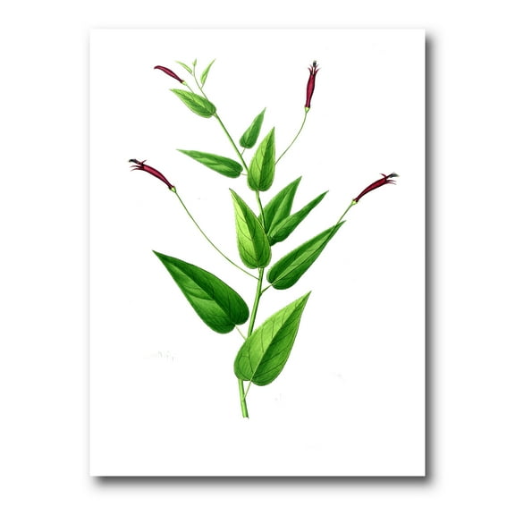 Designart ' Ancient London Plants VII ' Traditional Canvas Wall Art Print