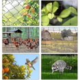 thumbnail image 3 of 15m X 15m Bird Protection Net Bird Net Plant Net Pond Net Garden Net For Garden,5 X 5 Cm Large Holes, 3 of 4