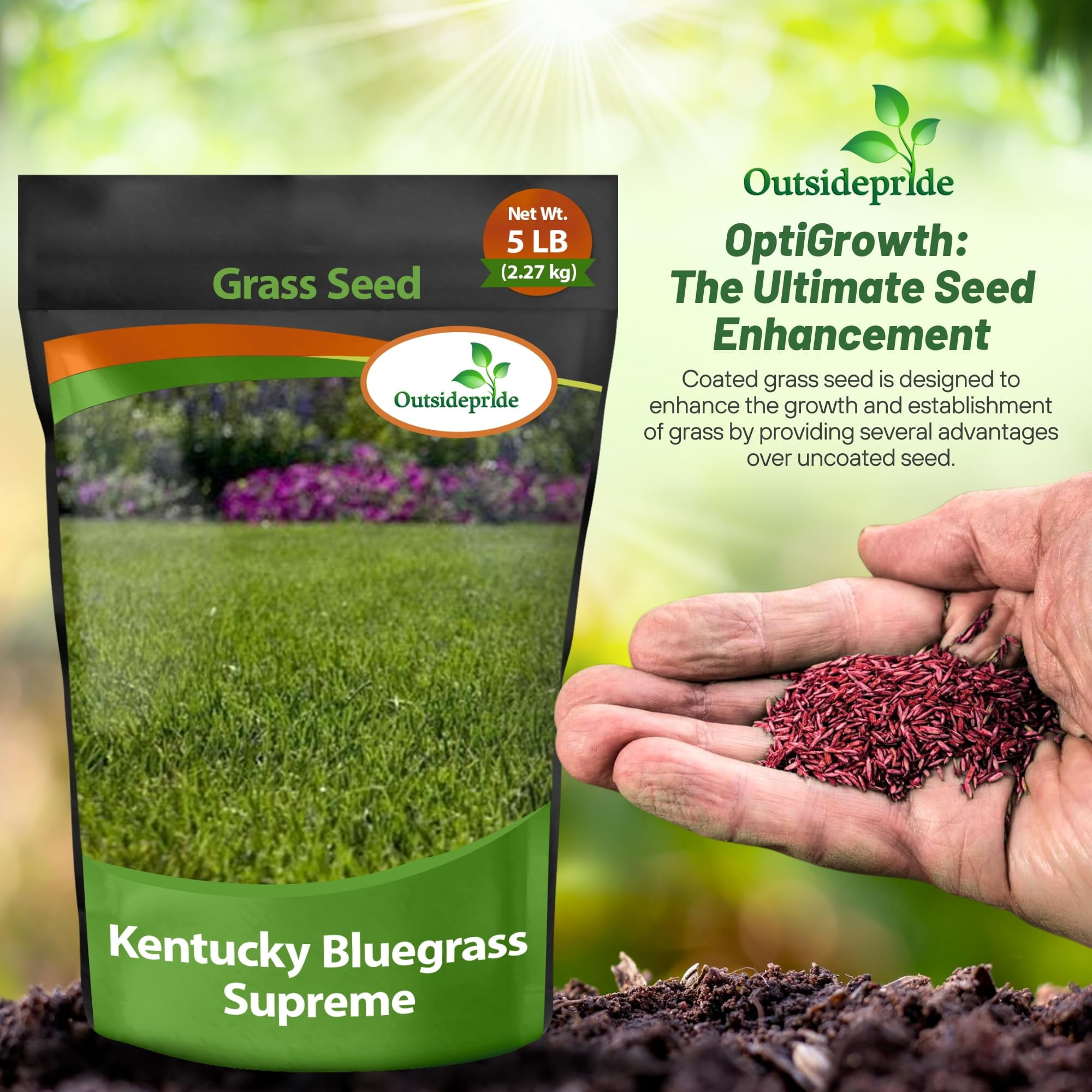 Outsidepride Supreme 5 lbs Kentucky Bluegrass Lawn Seed Blend, Dark Green, Fine Bladed