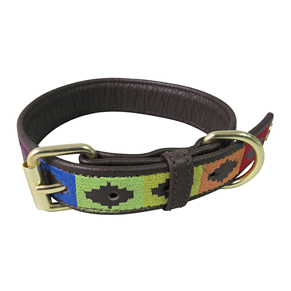 halo 2 plus dog collar cost