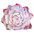 thumbnail image 3 of Almohada de felpa creativa de 20 pulgadas, decorativa, para dormir, con adornos decorativos. Violeta, 3 of 9