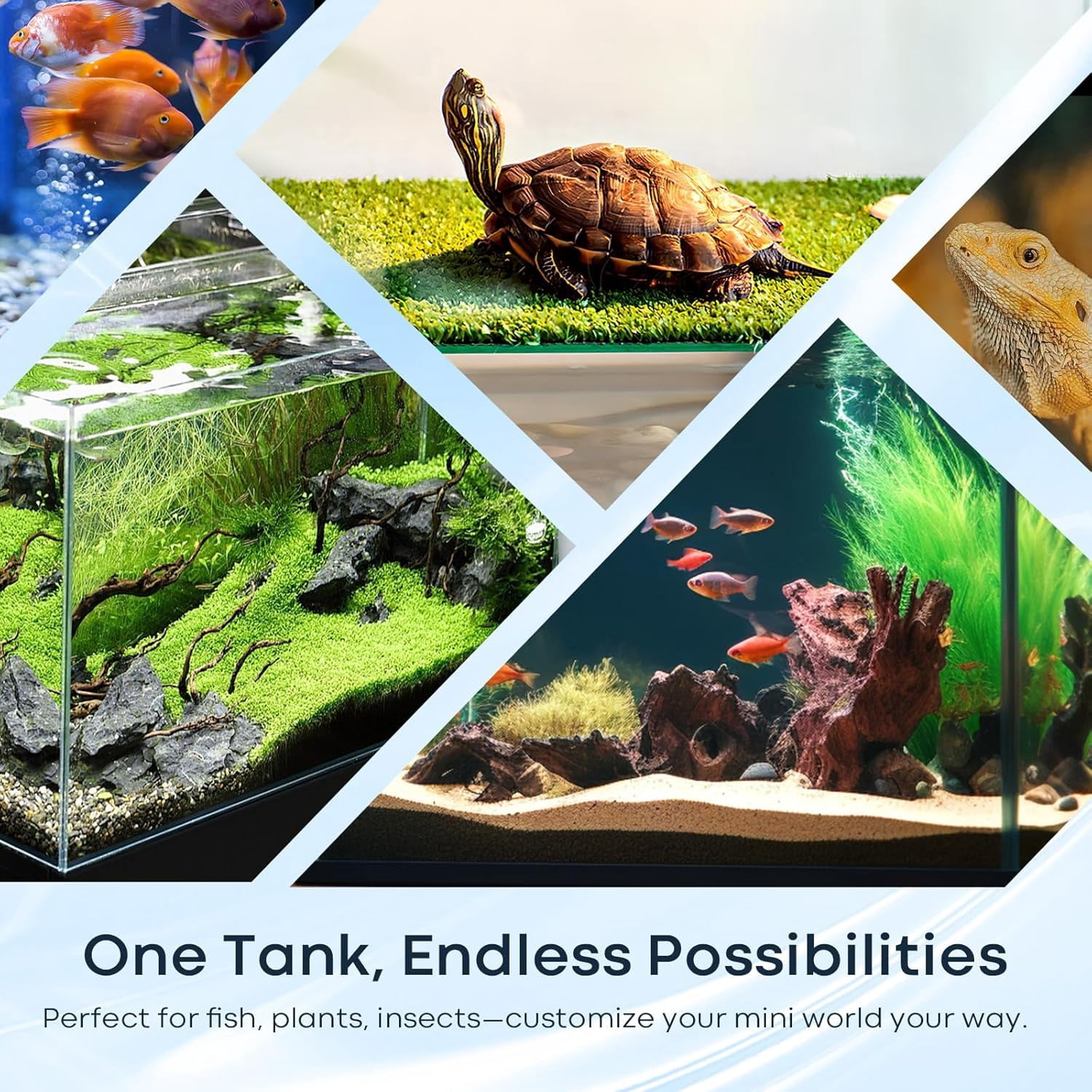 Desktop Small Aquarium Set Glass Fish Tank 1.25 Gallon, with Water Pump Filter Bright LED Light Gravel Cleaning Tool, Starter Kit Small Space Easy Setup Space-Saving Design Betta Shrimp