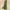 Dark Green, variant on Kukoosong Women's Casual Loose Sundress Sleeveless Cotton Linen Long Dress Summer Beach Vacation Dress with Pockets Women U neck Tank Dresses Swing Pleated Fashion Soft