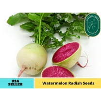 110 Seeds| Red Radish Seeds - Authentic Seeds ~ GMO Free ~ Seeds~Flower seeds~ Vegetable seeds~ Asian Garden~ Herbs B5G1 #7008