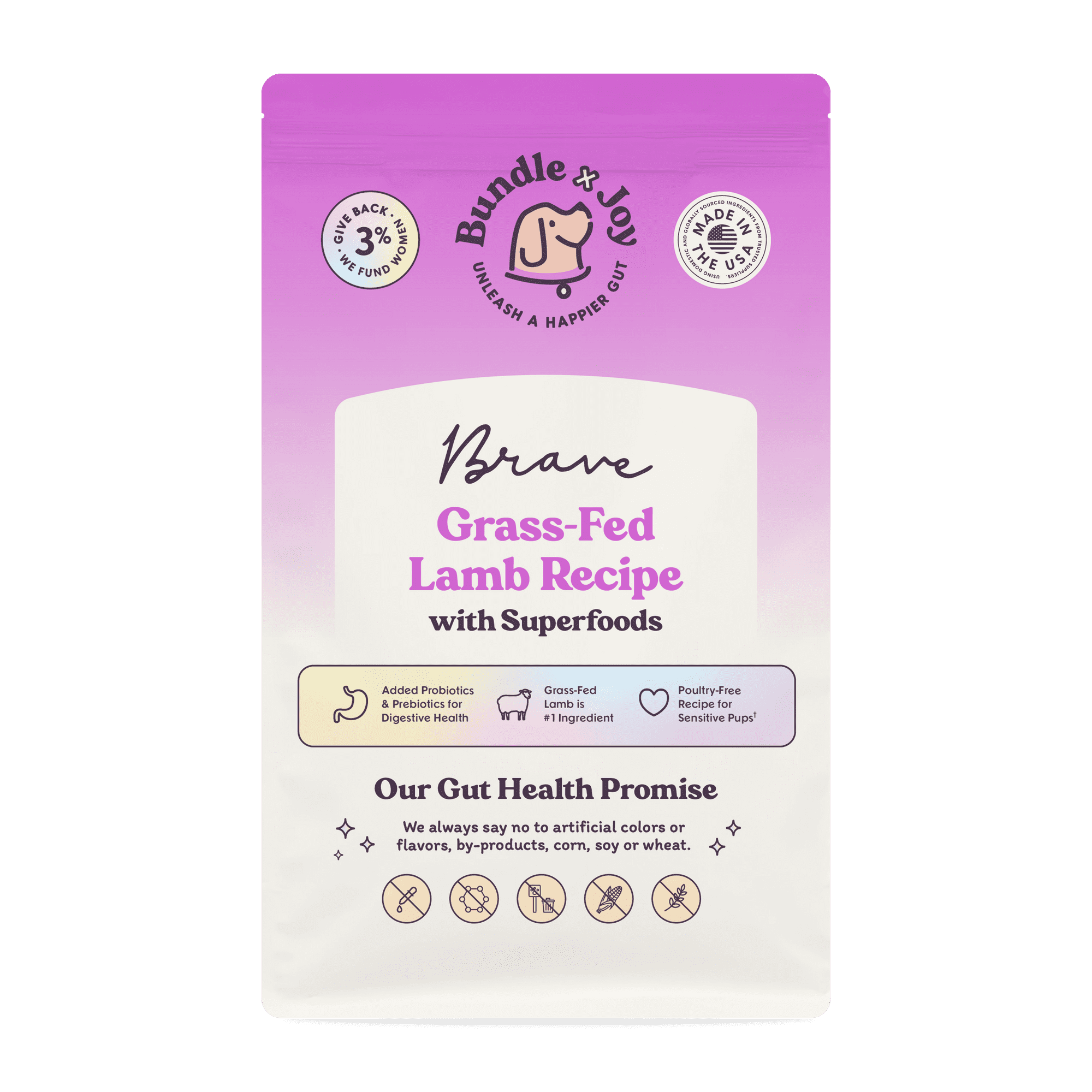 Bundle x Joy Brave Gut-Friendly Grass-Fed Lamb Flavor Dry Dog Food, 4 lb Bag
