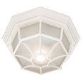 thumbnail image 1 of Acclaim Lighting 2002TW Flush Mount - 2-Light Ceiling Mount in White Textured for Outdoor Light Fixture, 1 of 2