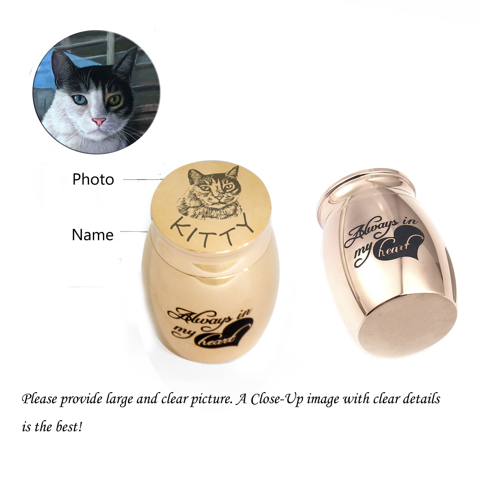 Personalized Pet Portrait Always in my Heart Mini Urn Engravable Dog Cat Picture Ashes Holder Custom Memorial Cremation