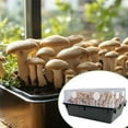thumbnail image 5 of Mushroom Cultivation Filter Discs Pack Of 24 2.95Inch Diameter Monotub Ventilation Mushroom Cultivation Airflow Control, 5 of 8