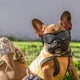 thumbnail image 5 of Adecuado para perros pequeños y medianos Gafas de sol UV, resistentes al viento, a la niebla, al polvo y a la nieve, para paseos al aire libre, 5 of 5