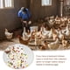 thumbnail image 5 of Wosthever Delantal de recolección de huevos con bolsillo de almacenamiento de granja de pollo delantales de recolección de moda accesorios de Almacenamiento y organización del hogar  Kinder 3 Taschen, 5 of 6