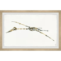 Marmont Hill Pterodactyl Skeleton Framed Wall Art