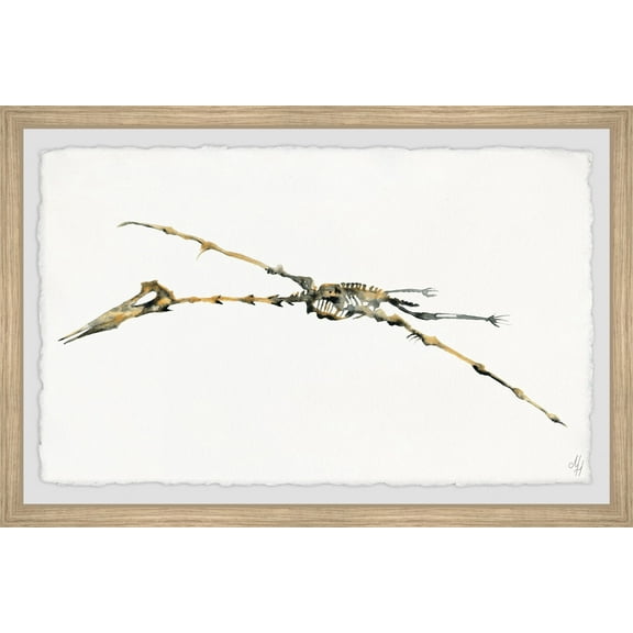 Marmont Hill Pterodactyl Skeleton Framed Wall Art
