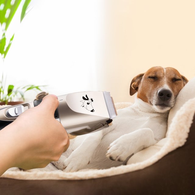 Cuchillas Para Perros Herramienta De Aseo Para Mascotas, Cuchillas Eléctricas Para Cortar El Pelo Para Perros, Cabezal De Corte Reemplazable