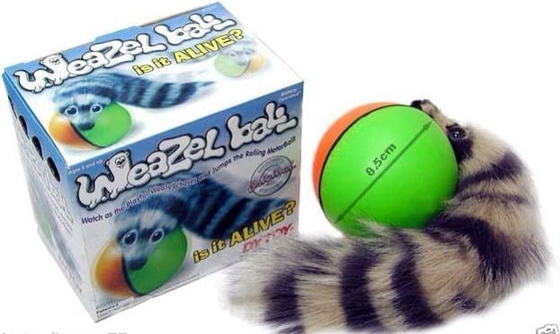 weasel ball for dogs