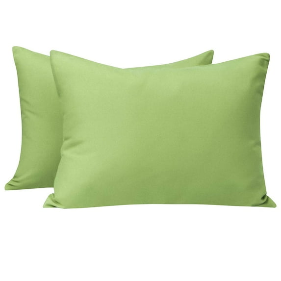 Microfiber Toddler Pillowcases, 2 Pcs Zipper Closure Travel Pillow Covers, 13 x 18, Sage Green