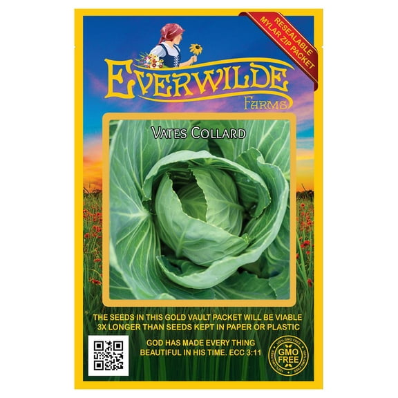 Everwilde Farms - 1000 Vates Collard Seeds - Gold Vault Jumbo Bulk Seed Packet